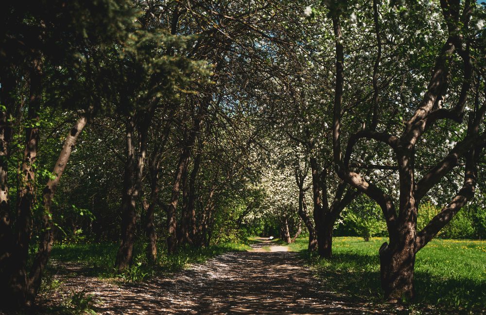 Фотография автора Василиса Новикова