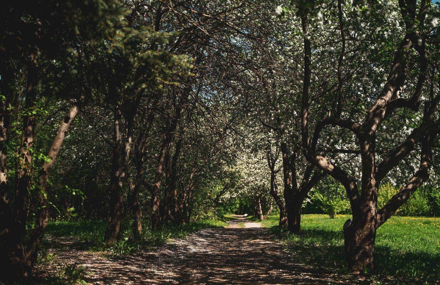 Фотография #12020986