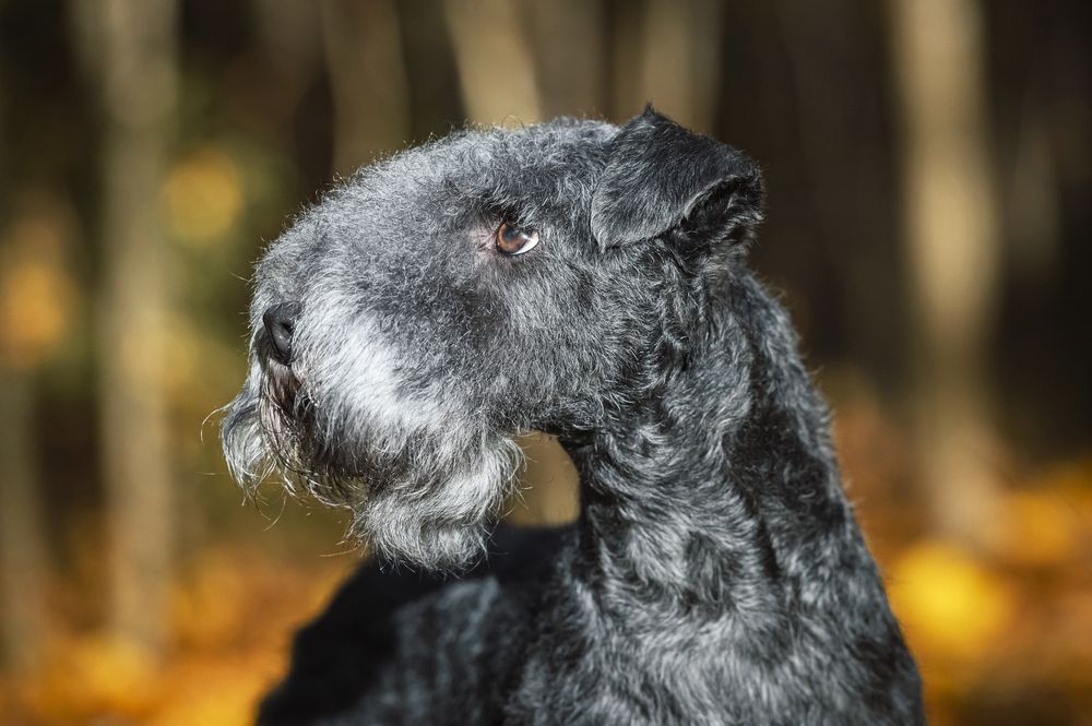 Photograph by Мария Новоселецкая