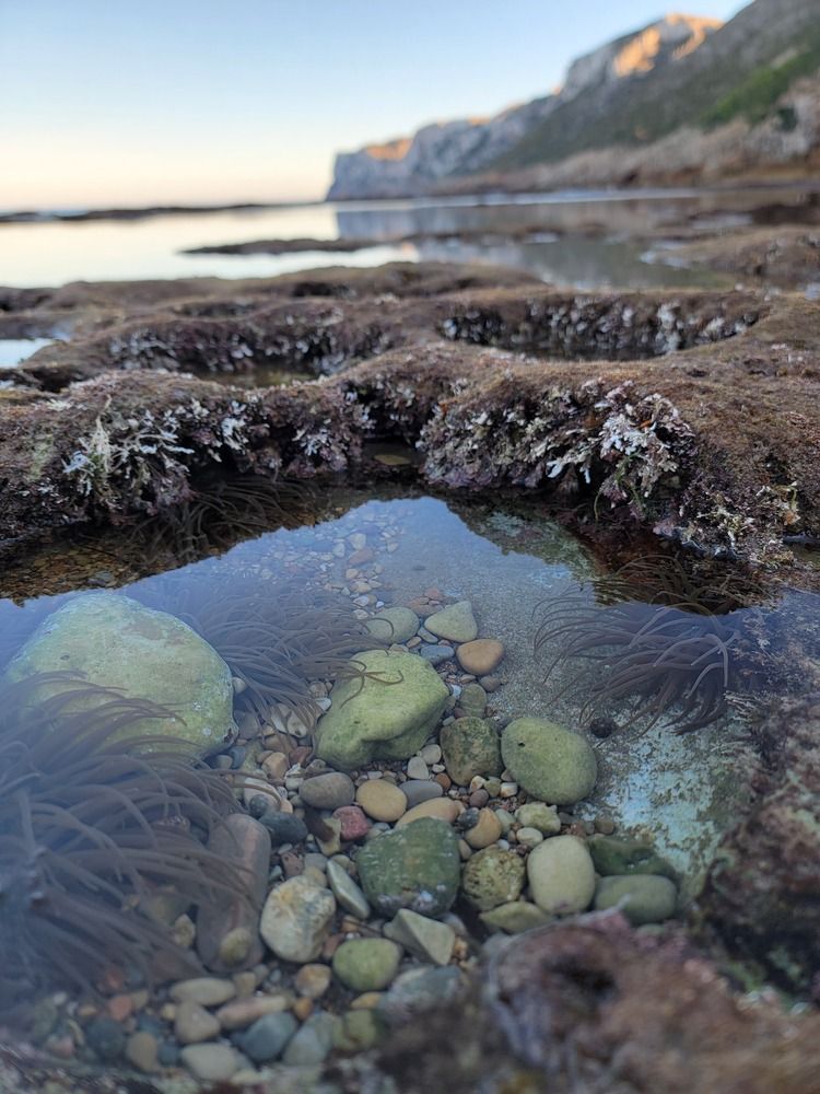 Photograph by Nina Gintings