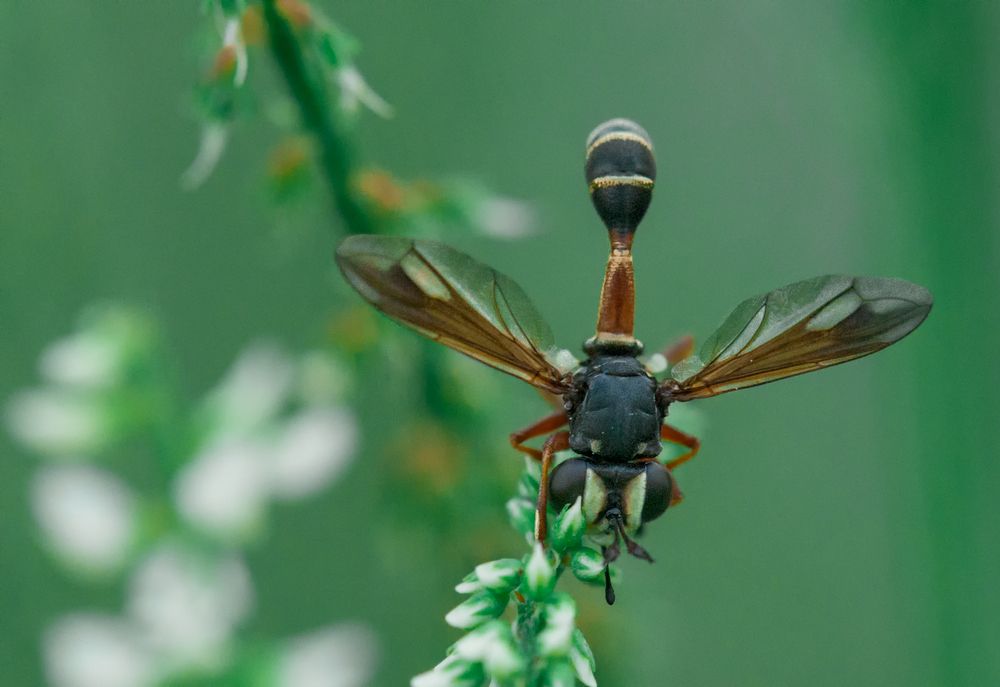 Photograph by Олег Тыркин