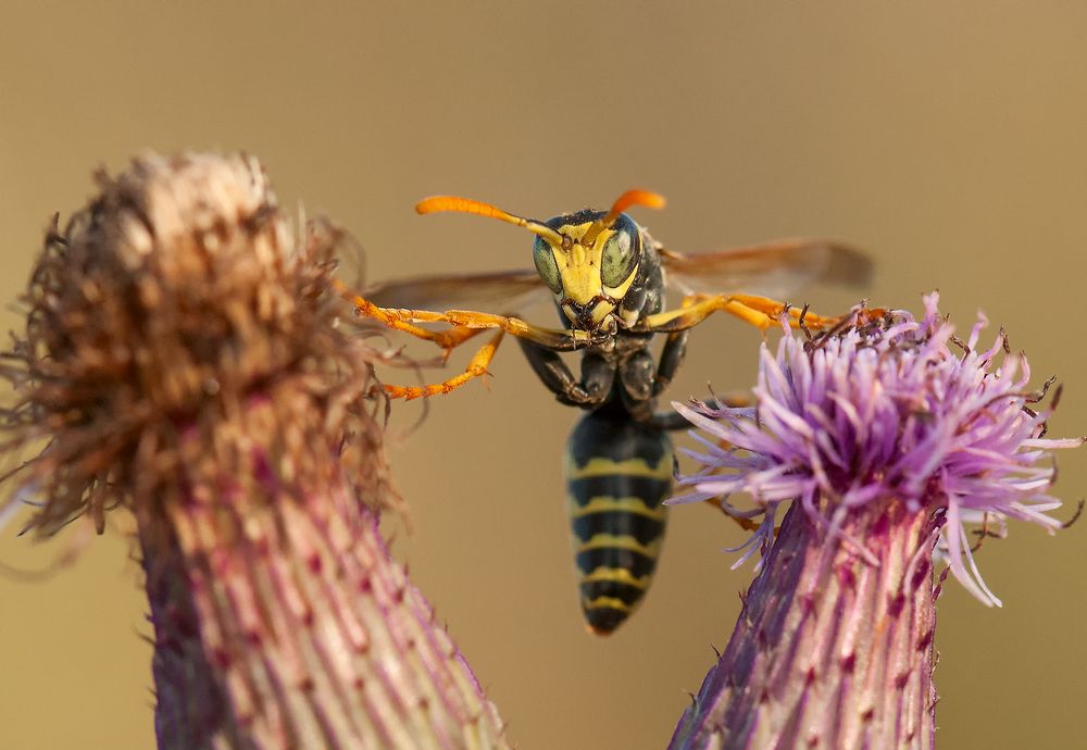 Photograph by Олег Тыркин