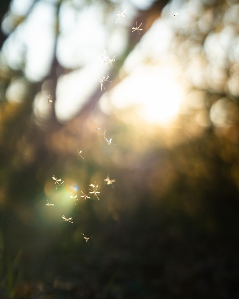 Photograph by Артём Гуцалюк