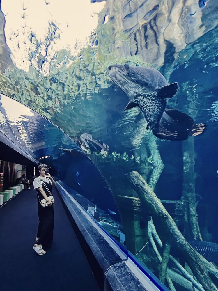 Фотография автора Мария Жукова