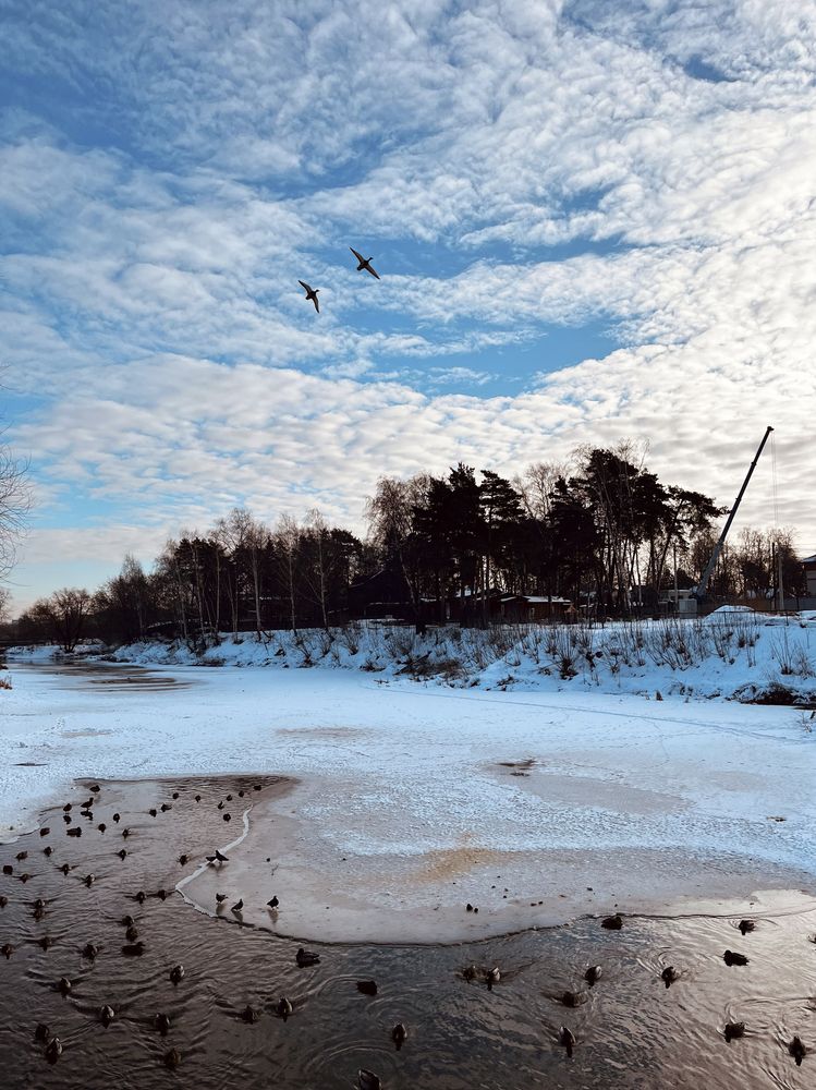 Фотография автора Мария Жукова