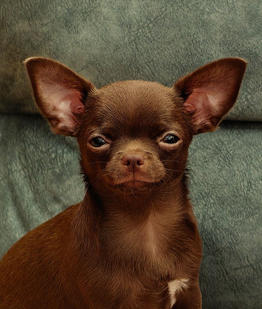 Photograph by Кристина Феминова