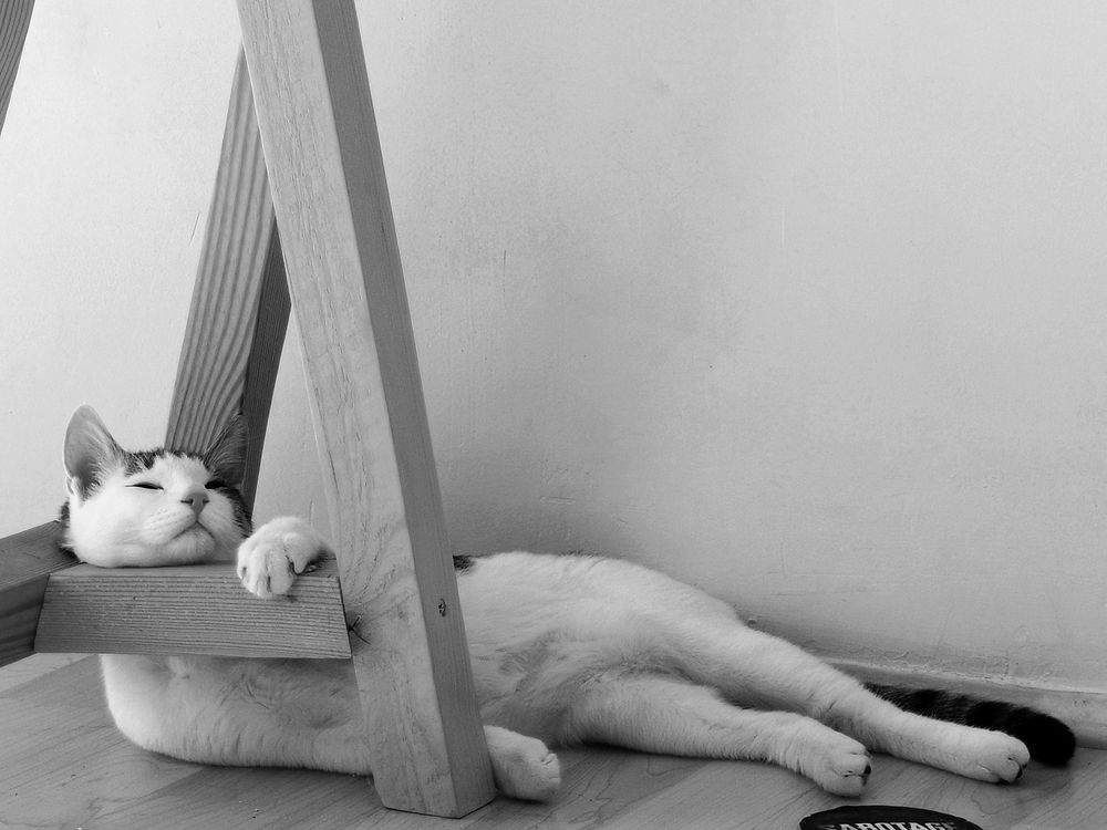 Photograph by Александр Ковальков