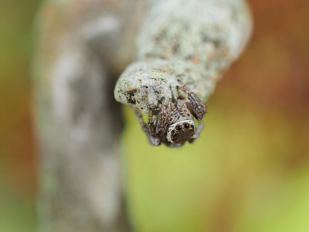 Photograph by Максим Кошелев