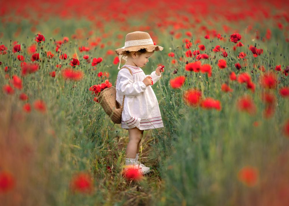 Photograph by Natalia Vansan de Amorin