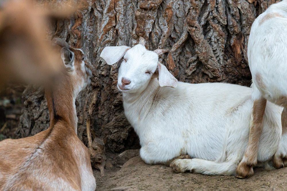 Photograph by Родион Нарудинов