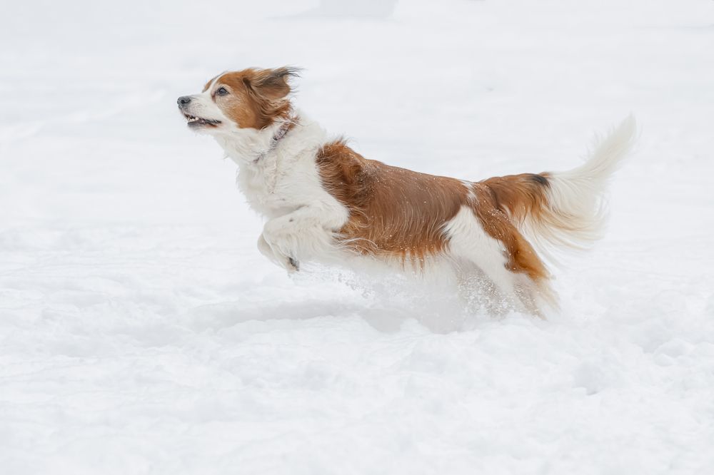 Photograph by Мария Новоселецкая