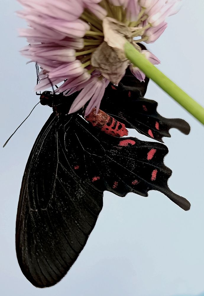 Photograph by Наталья Шумилова