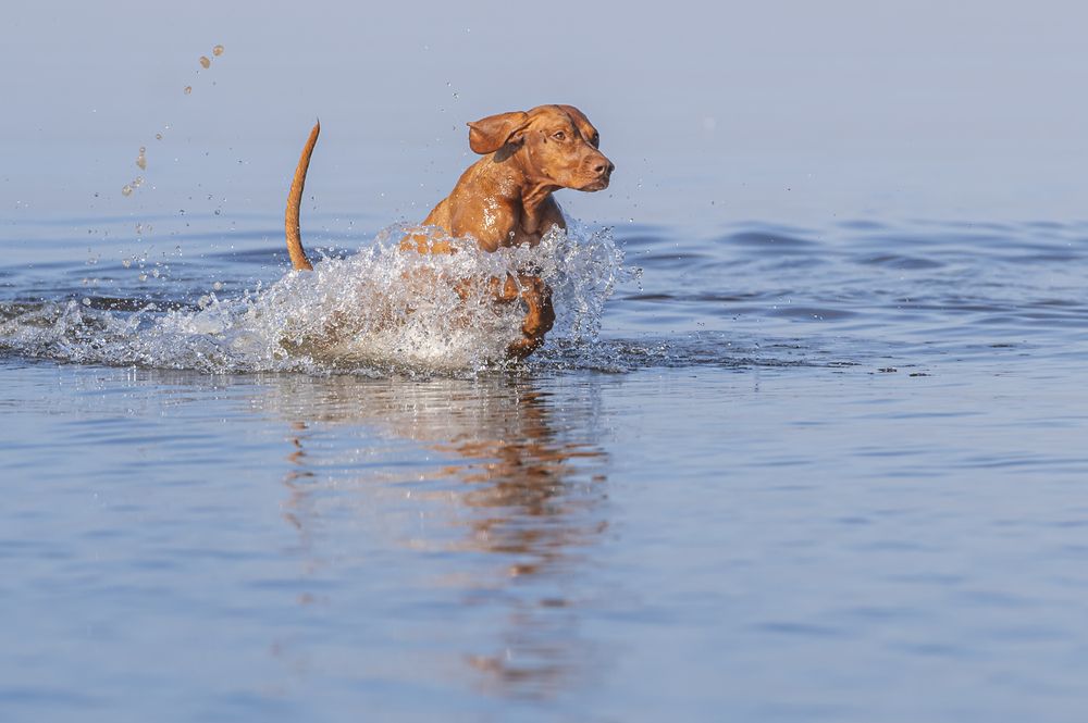 Photograph by Мария Новоселецкая