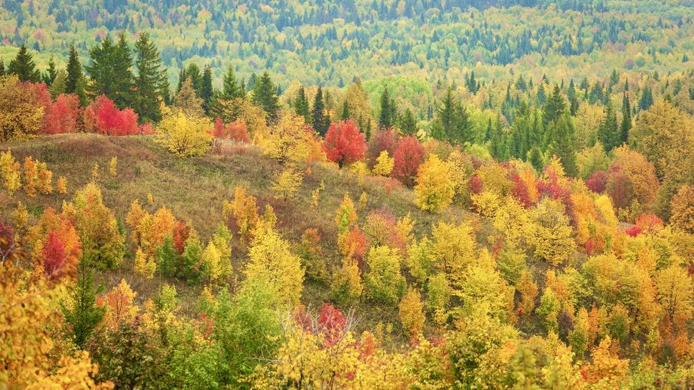 Фотография автора Alexey Bunakov