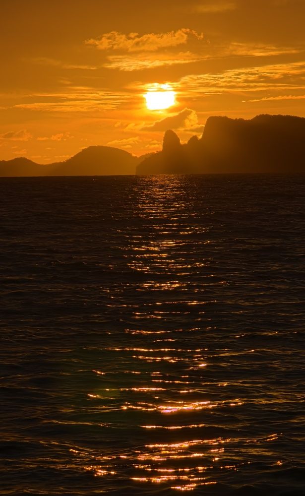 Фотография автора Светлана Зимина