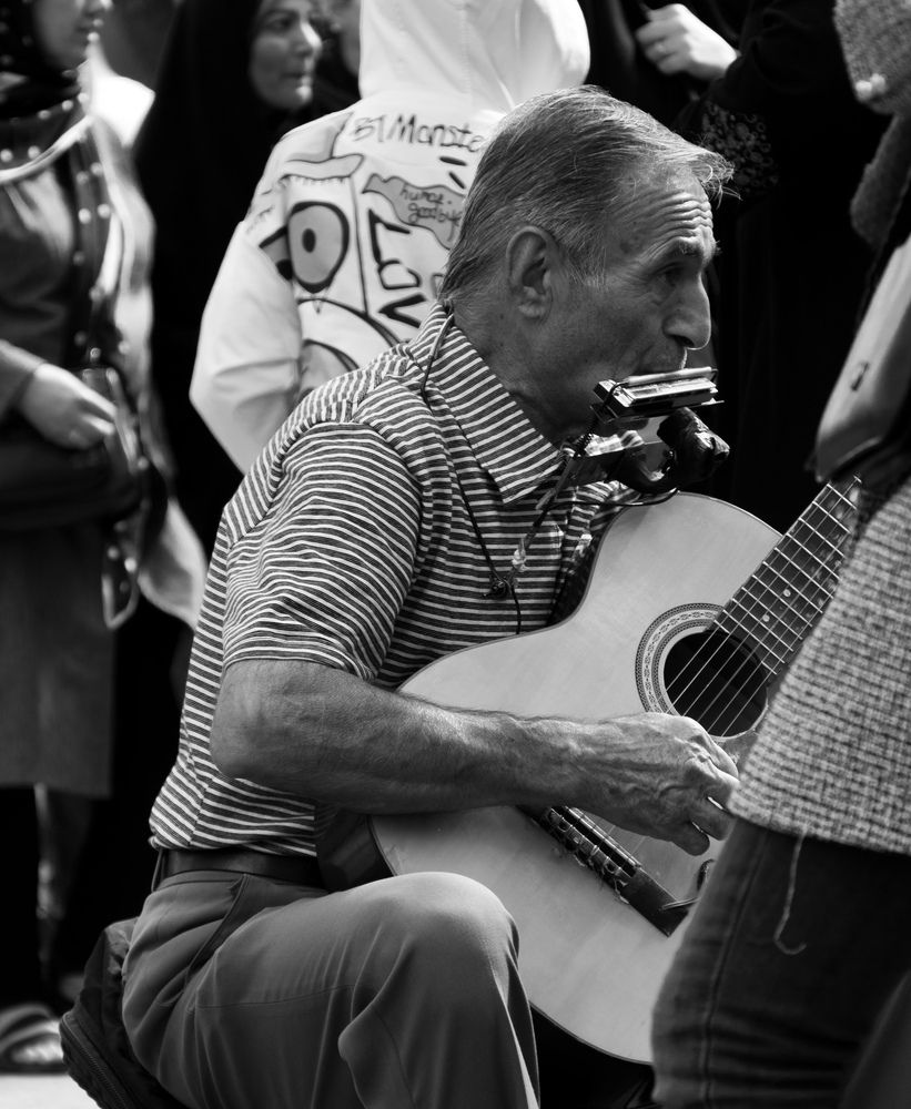 Фотография автора Kimia sadat partovi