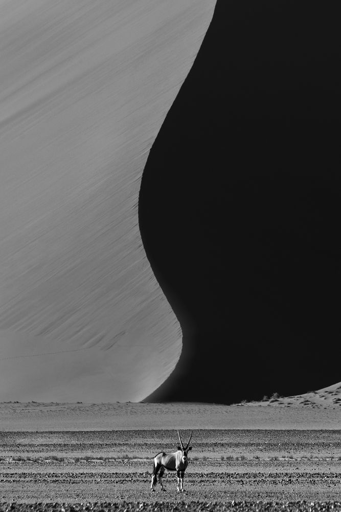 Photograph by Никита Шиндин