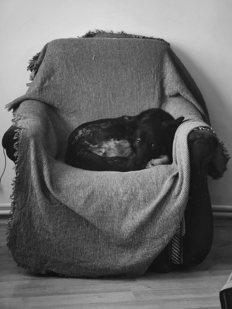 Photograph by Александр Ковальков