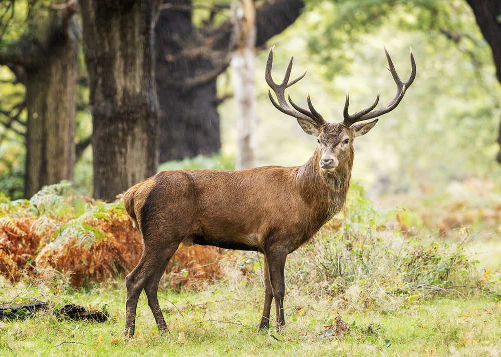 Photograph by Guido Frazzini