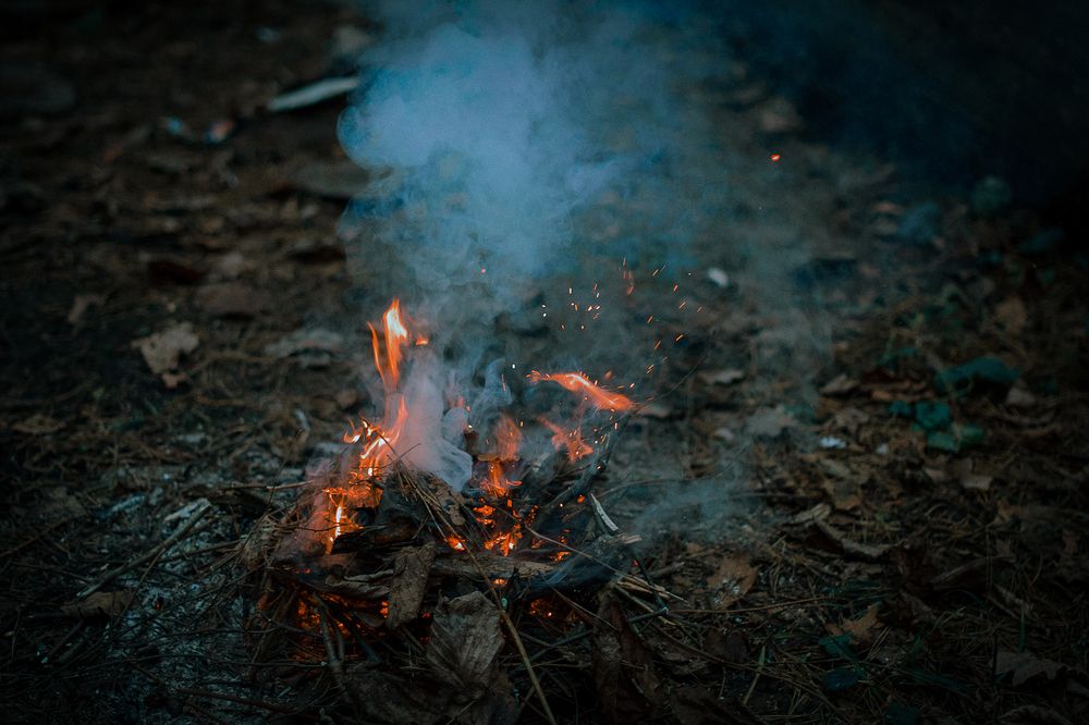 Photograph by  Kerry Moore