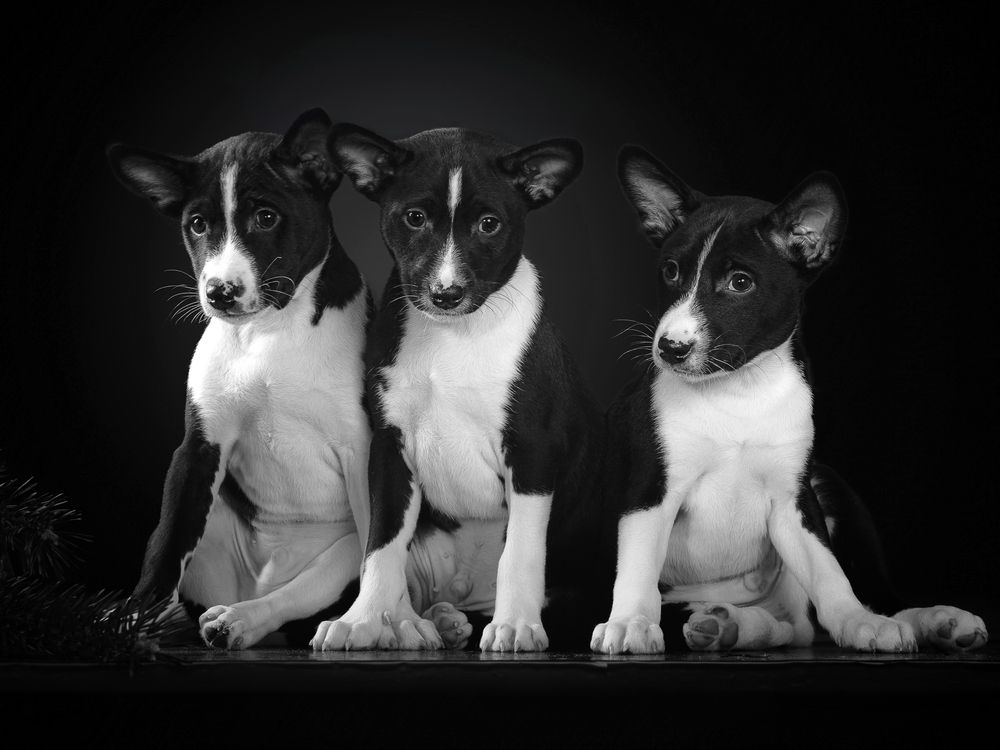 Photograph by Людмила Бандурина