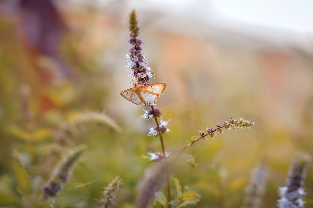 Photograph by  Kerry Moore