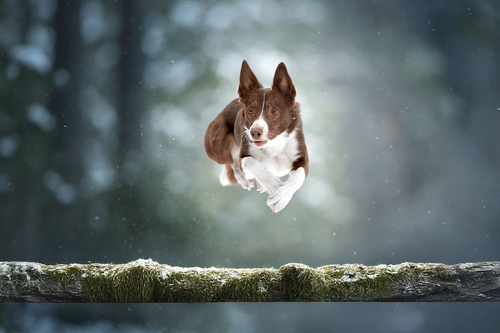 Photograph by Светлана Писарева