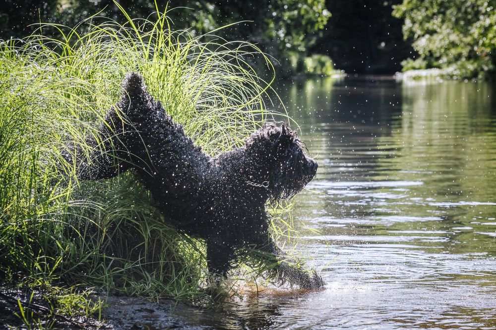 Photograph by Мария Новоселецкая