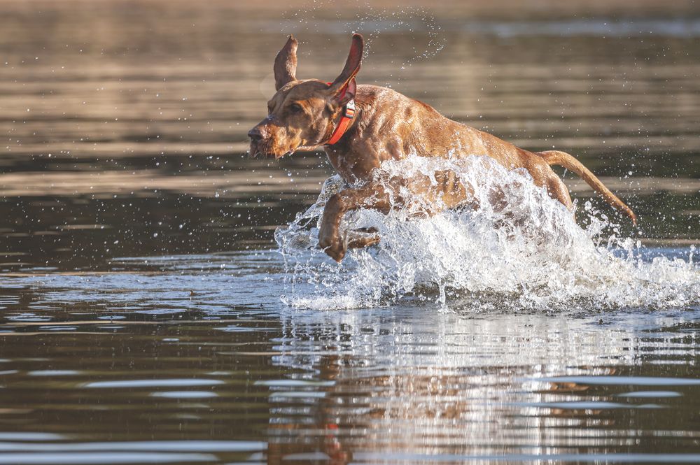 Photograph by Мария Новоселецкая