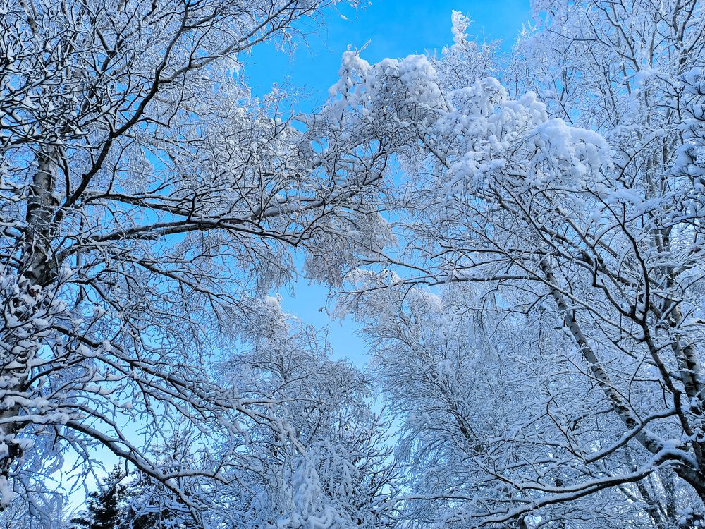 Photograph by Екатерина Алексеевна