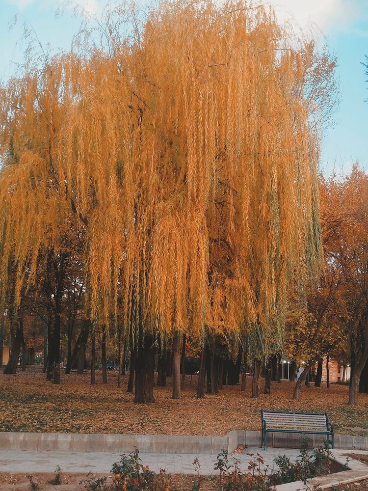 Photograph by Zhina Fotoohi