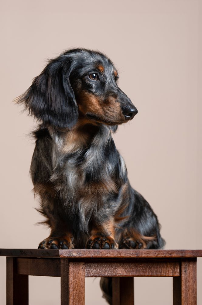 Photograph by Madalina Ungureanu