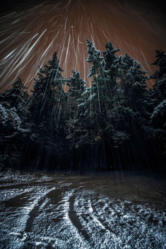 Photograph by Сафронов Александр