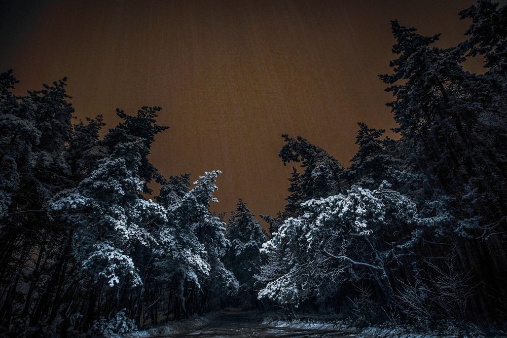 Photograph by Сафронов Александр