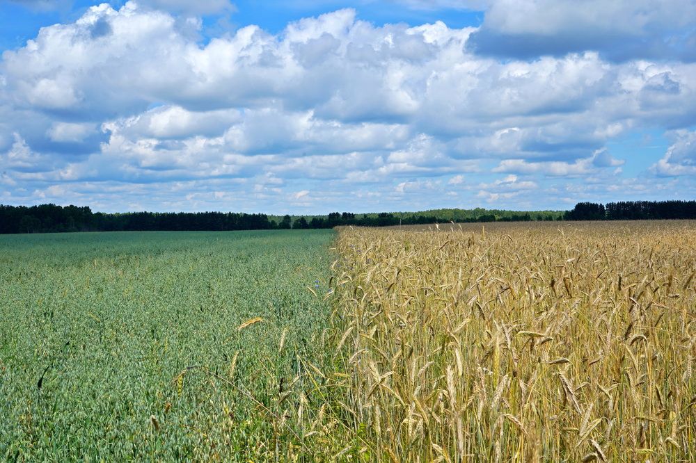 Photograph by Елена Копейкина