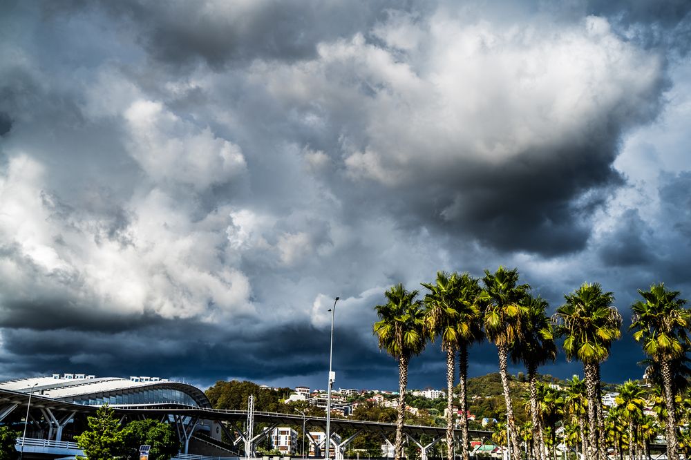 Фотография автора Василиса Новикова