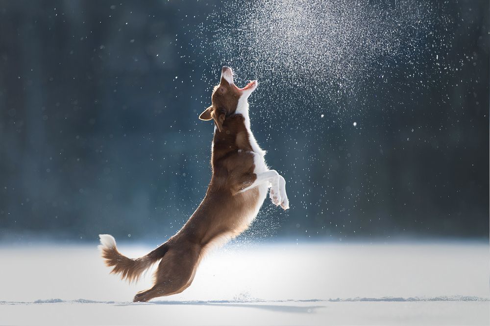 Photograph by Светлана Писарева