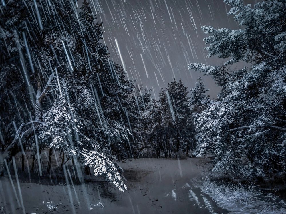 Photograph by Сафронов Александр