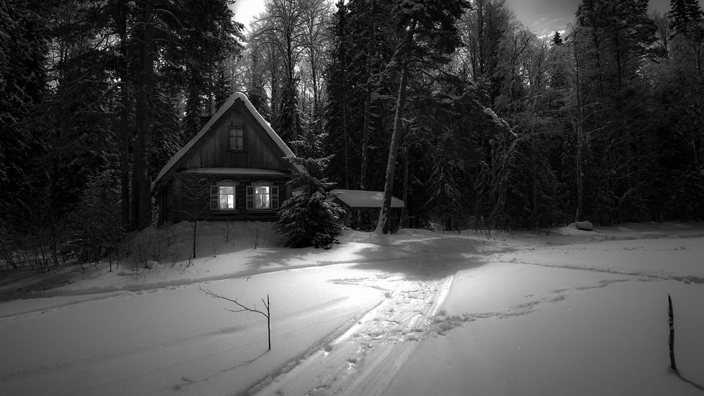 Photograph by Алексей Глухов