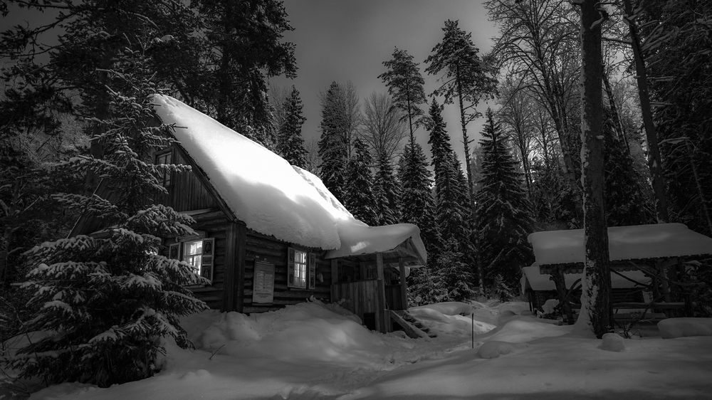 Photograph by Алексей Глухов