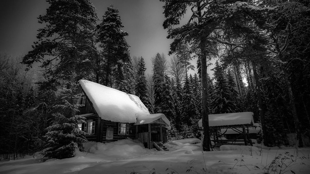 Photograph by Алексей Глухов