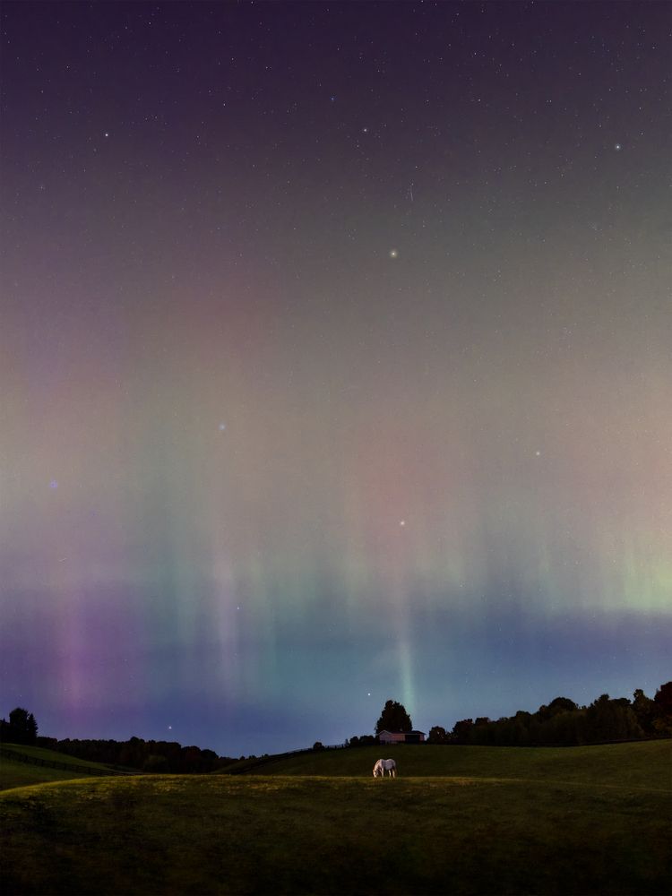 Photograph by Zhenhuan Zhou