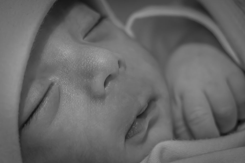 Photograph by Romina Moniri