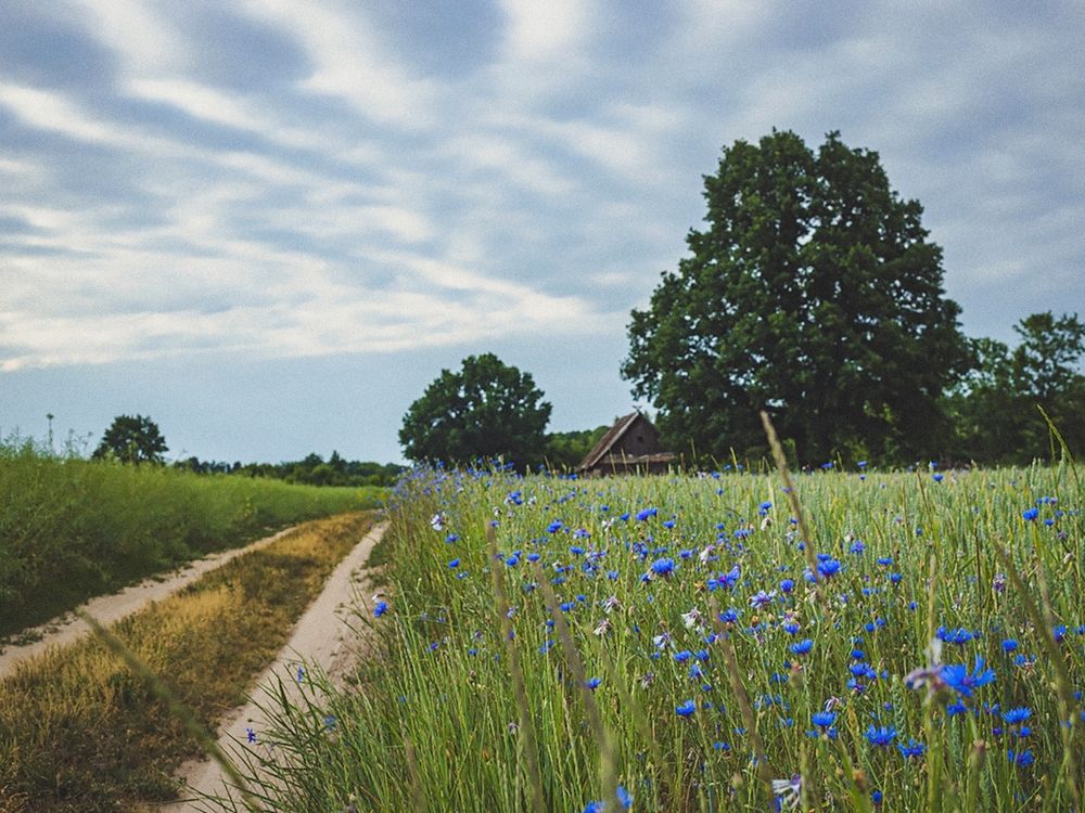Photograph by Сергей Коляда