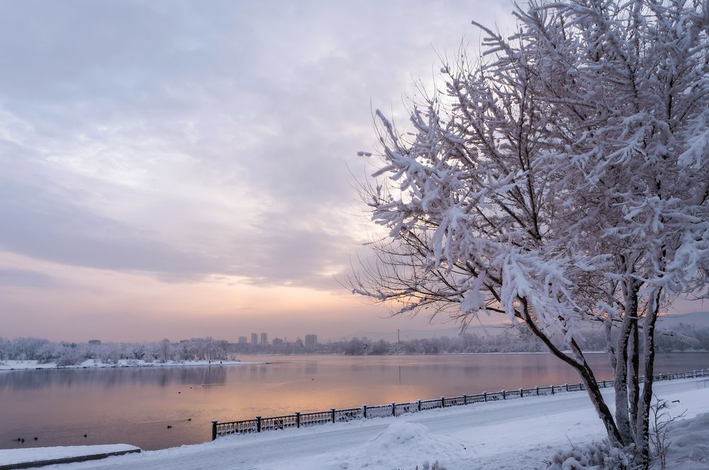 Photograph by Александр Пургин