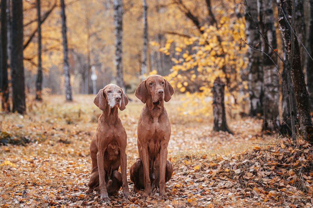 Продолжение...