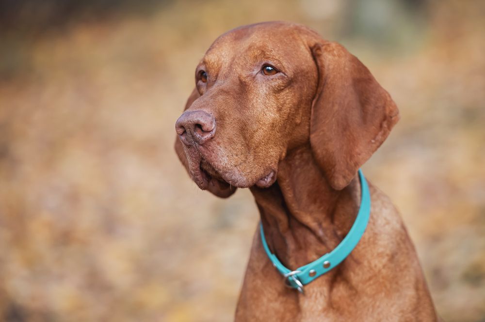 Photograph by Мария Новоселецкая