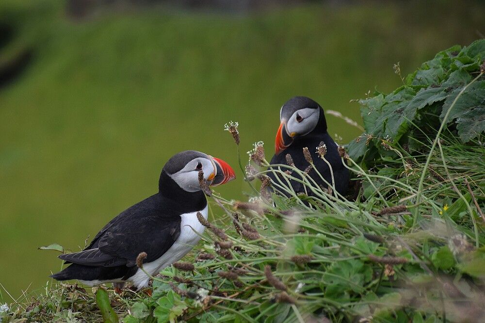 Photograph by Dimitris Iatrou