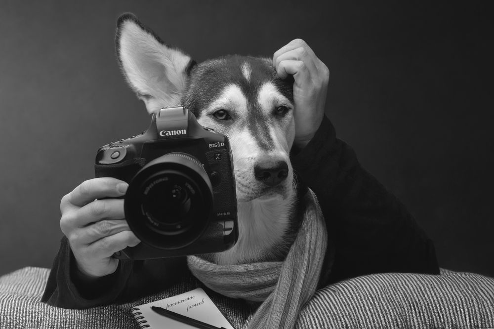 Photograph by Светлана Писарева