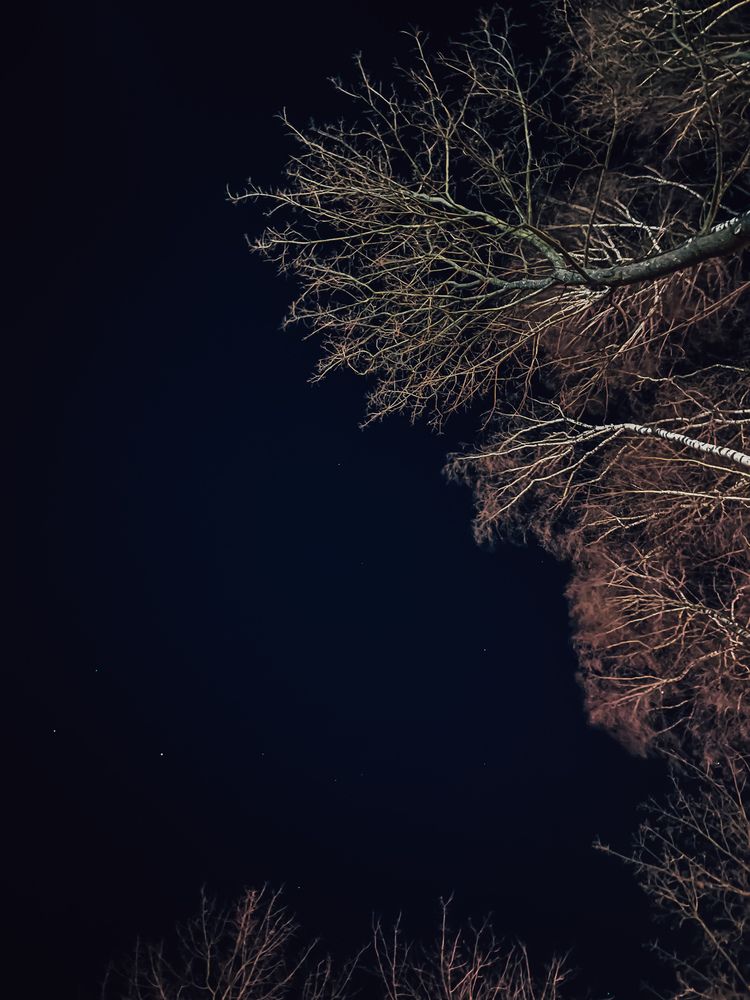 Photograph by Оксана Санькова